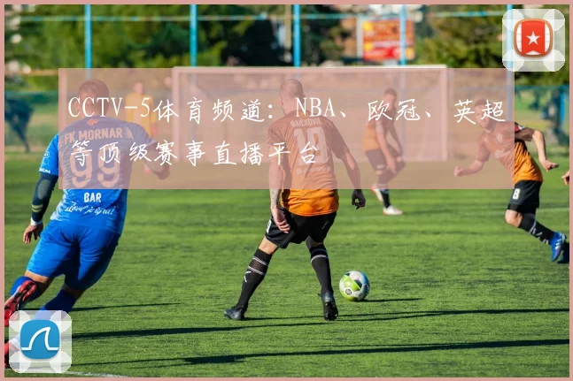 CCTV-5体育频道：NBA、欧冠、英超等顶级赛事直播平台