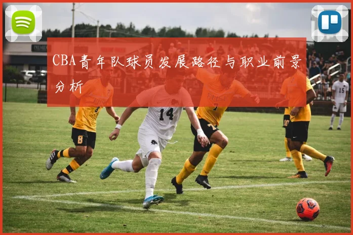 CBA青年队球员发展路径与职业前景分析